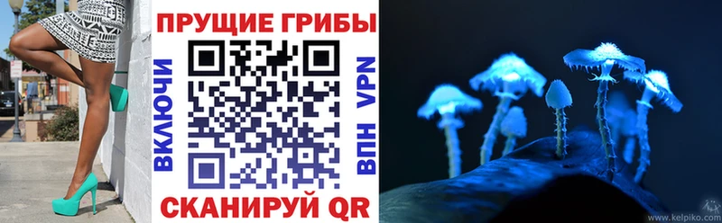 Галлюциногенные грибы Psilocybine cubensis  Кремёнки 
